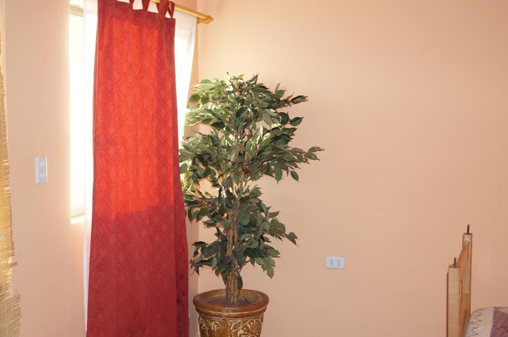 Hostal Intipara San Pedro de Atacama Dış mekan fotoğraf